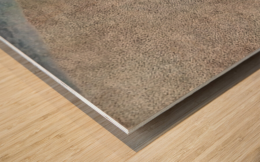 Ben Shahn 37 Wood print