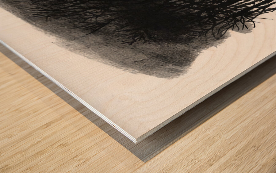 Ben Shahn 44 Wood print