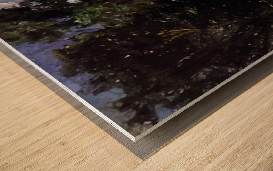 Chaim Soutine 13 Wood print