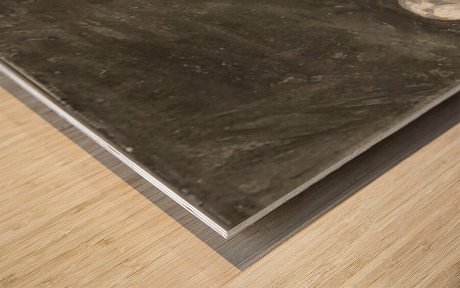 Chaim Soutine 22 Wood print