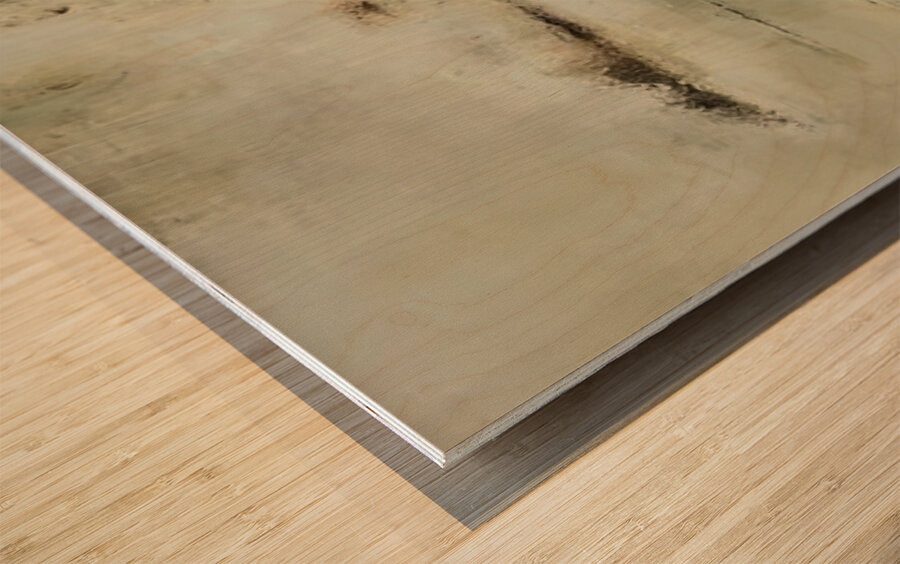 Zao Wo Ki 29 Wood print