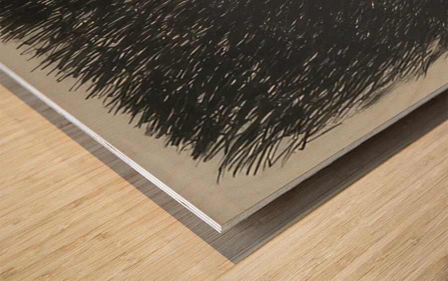 Art by Cy Twombly 18 Wood print