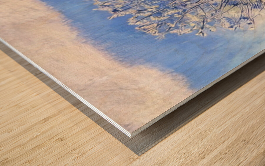 Art by Ferdinand Hodler  1 Wood print