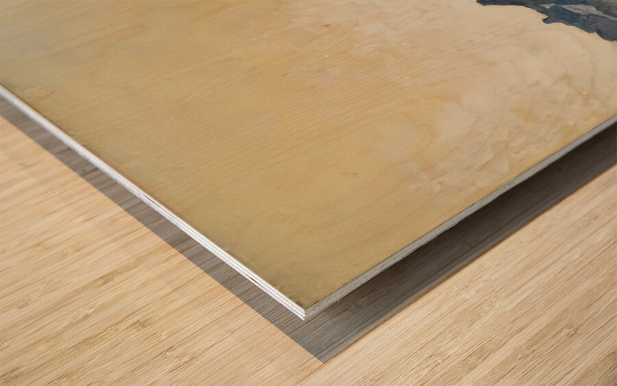 Art by Ferdinand Hodler  2 Wood print