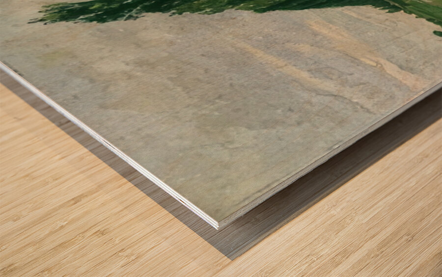 Art by Ferdinand Hodler  12 Wood print