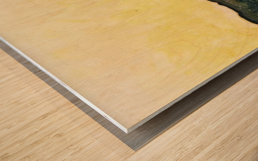 Art by Ferdinand Hodler  17 Wood print