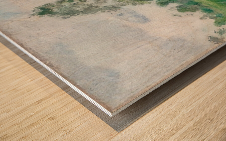 Art by Ferdinand Hodler  23 Wood print