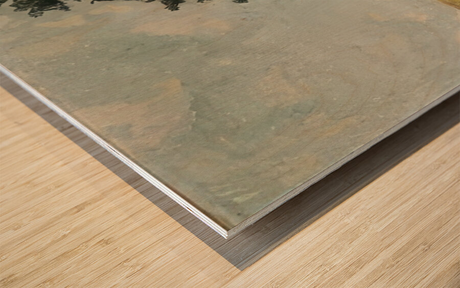 Art by Ferdinand Hodler  24 Wood print