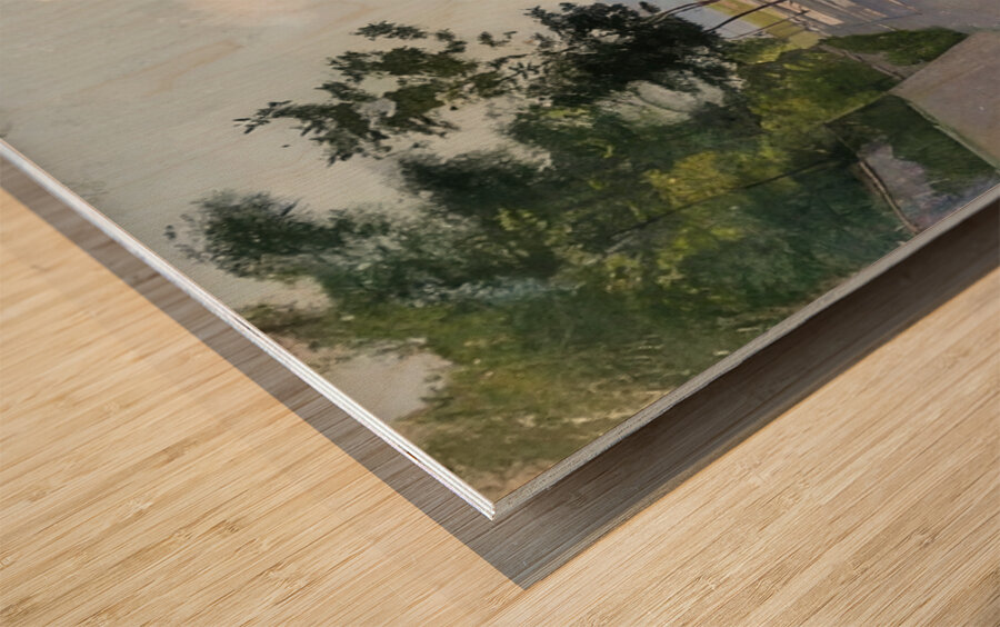 Art by Ferdinand Hodler  34 Wood print