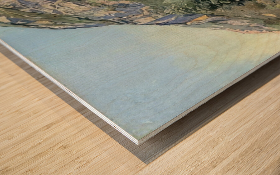 Art by Ferdinand Hodler  42 Wood print