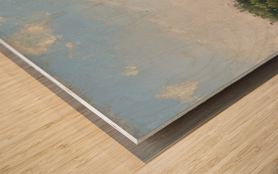 Art by Ferdinand Hodler  49 Wood print