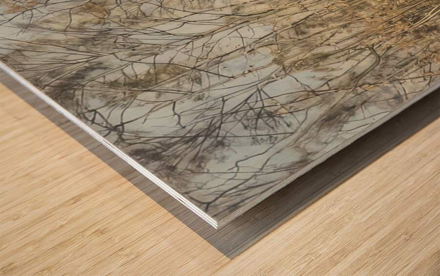 Art by Ferdinand Hodler  50 Wood print