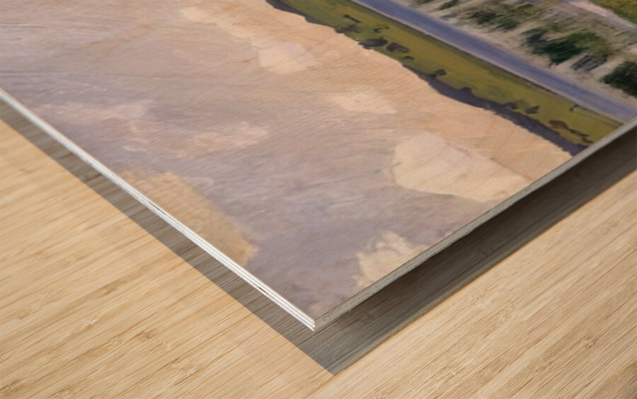 Art by Ferdinand Hodler  52 Wood print