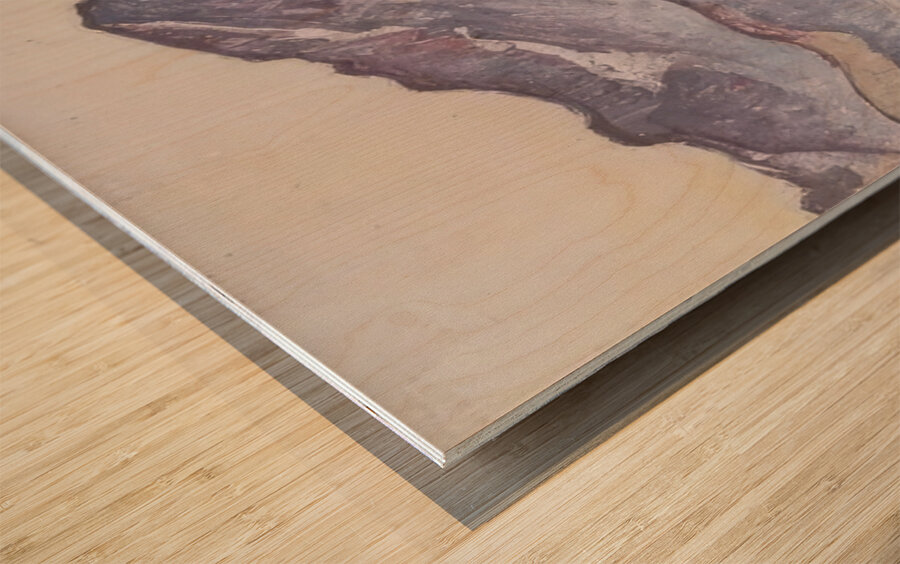 Art by Ferdinand Hodler  55 Wood print