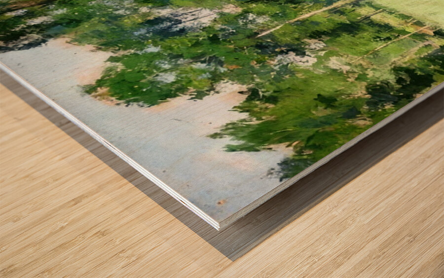 Robert Vonnoh 5 Wood print