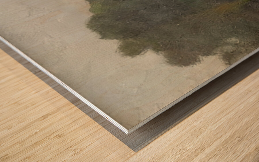 Robert Vonnoh 20 Wood print