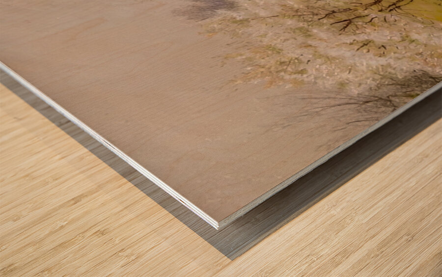 Robert Vonnoh 24 Wood print