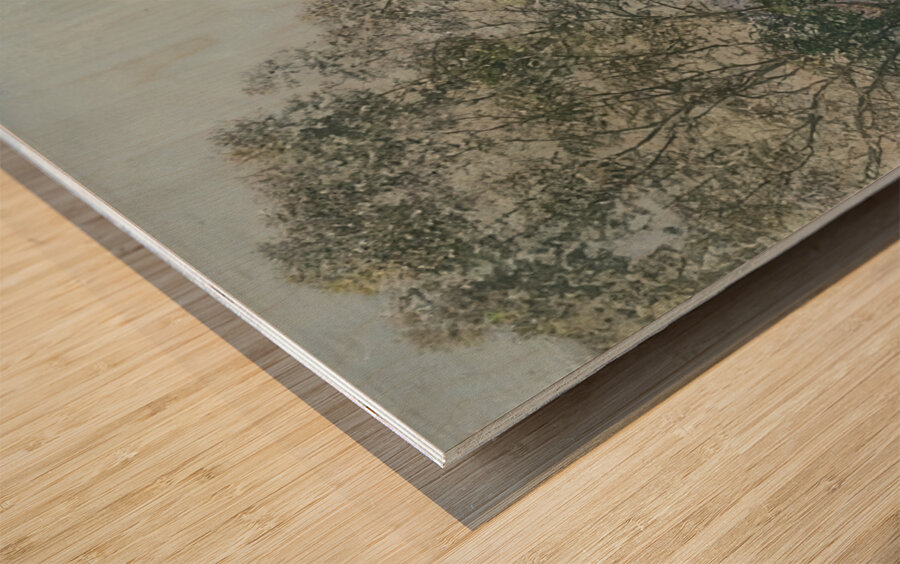 Robert Vonnoh 50 Wood print