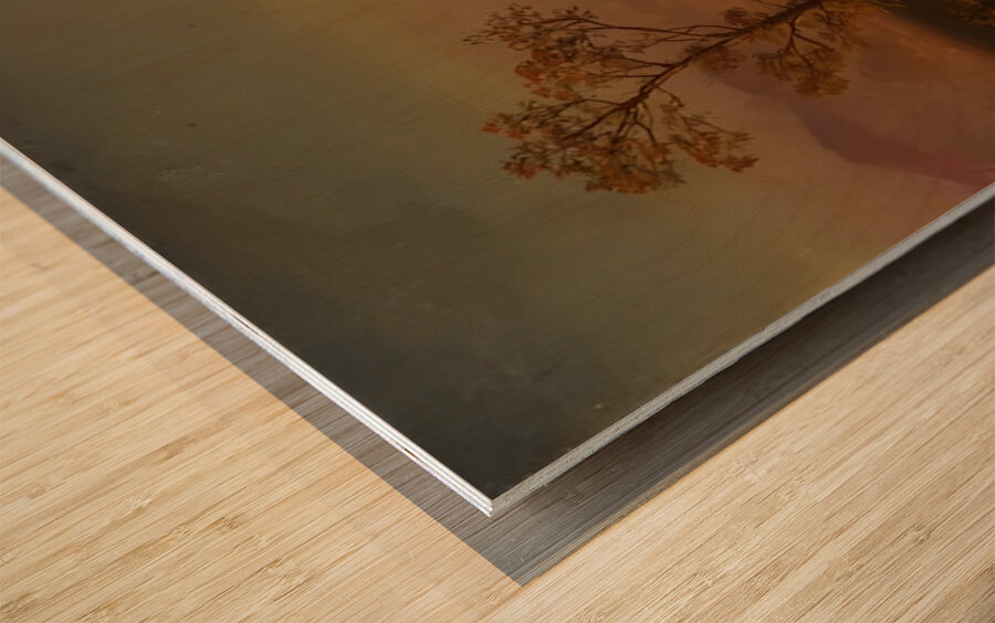 Albert Bierstadt 5 Wood print