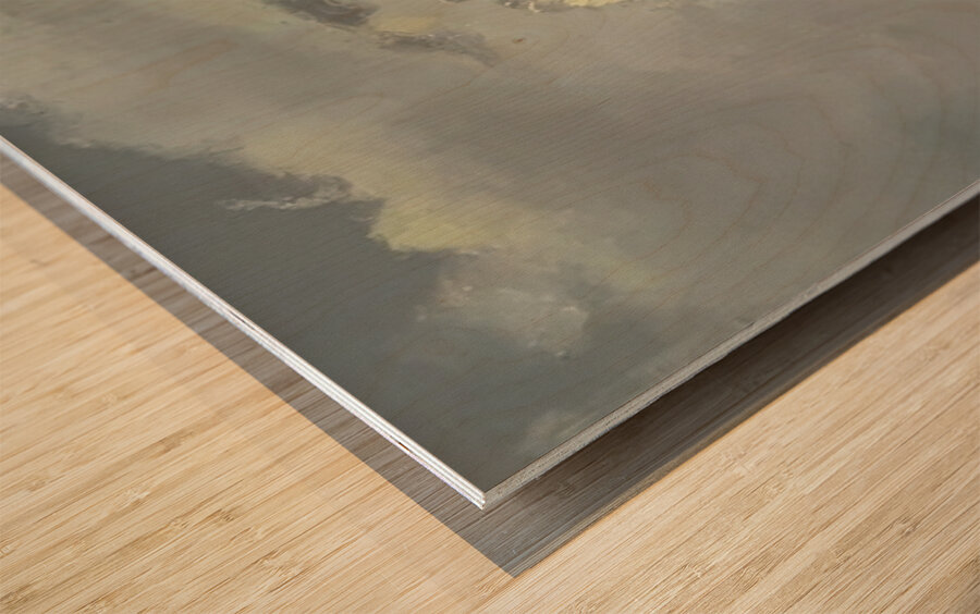 Albert Bierstadt 6 Wood print