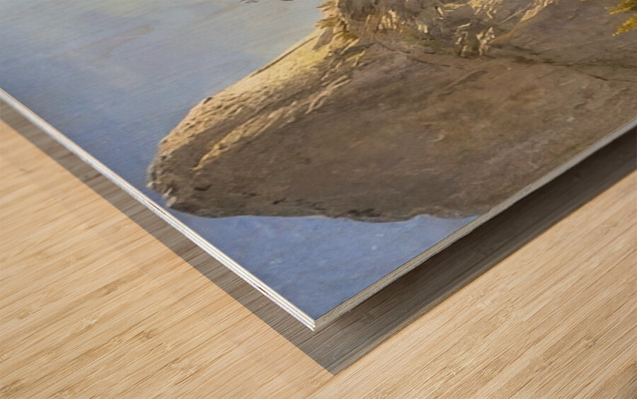 Albert Bierstadt 7 Wood print