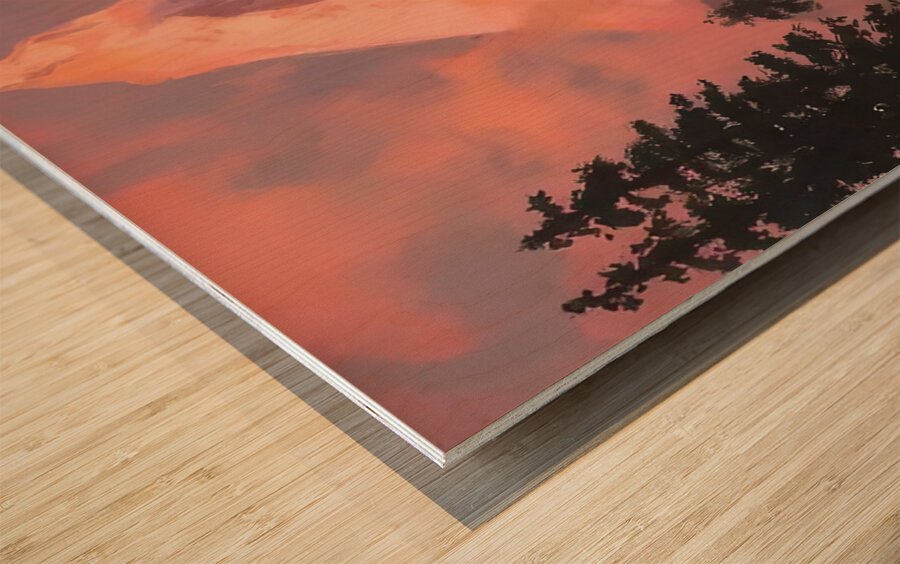 Albert Bierstadt 8 Wood print