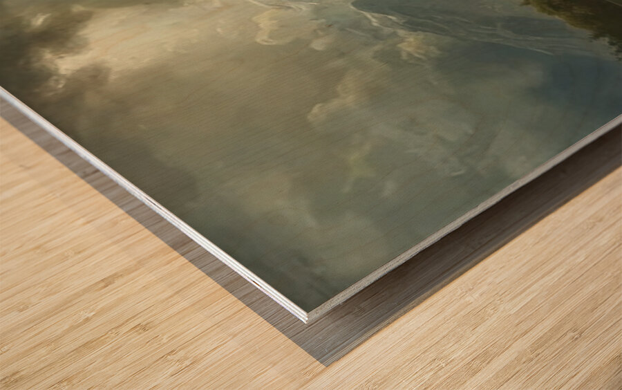 Albert Bierstadt 14 Wood print