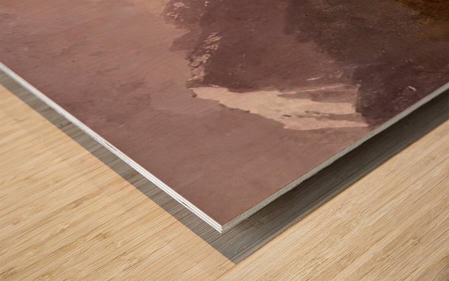 Albert Bierstadt 19 Wood print