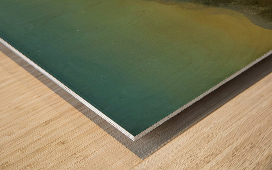 Albert Bierstadt 20 Wood print