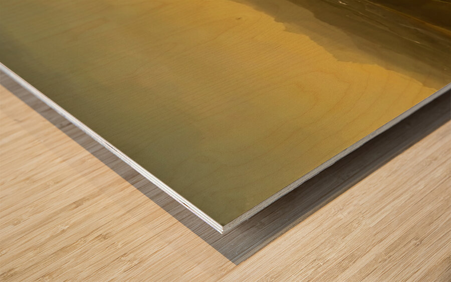 Albert Bierstadt 24 Wood print