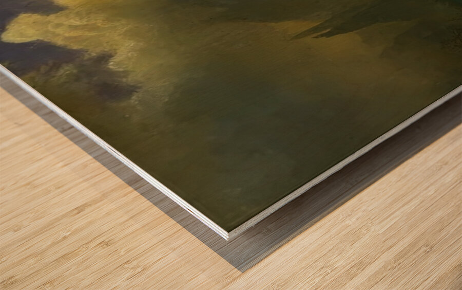 Albert Bierstadt 26 Wood print