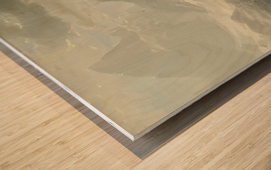 Albert Bierstadt 29 Wood print