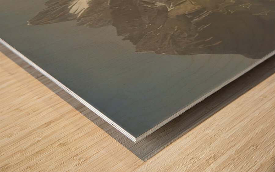 Albert Bierstadt 31 Wood print