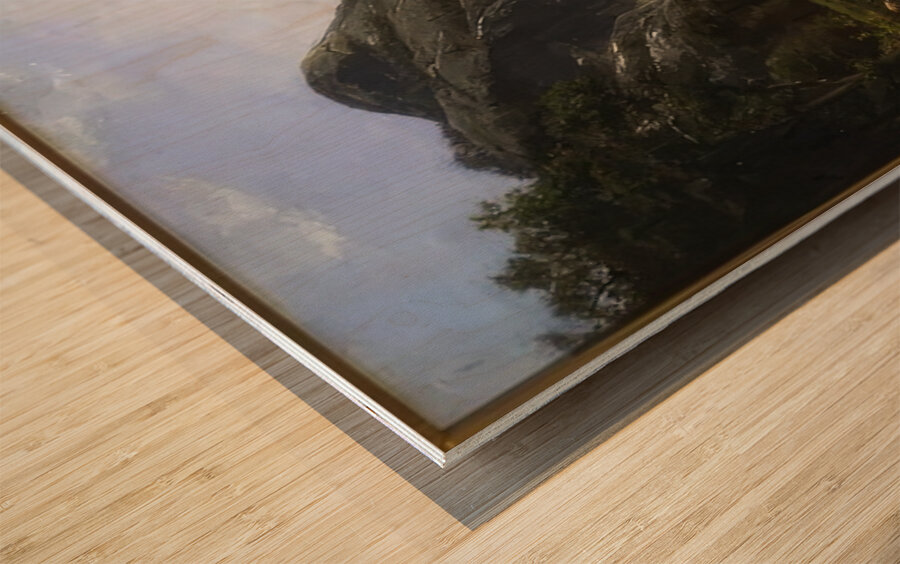 Albert Bierstadt 35 Wood print