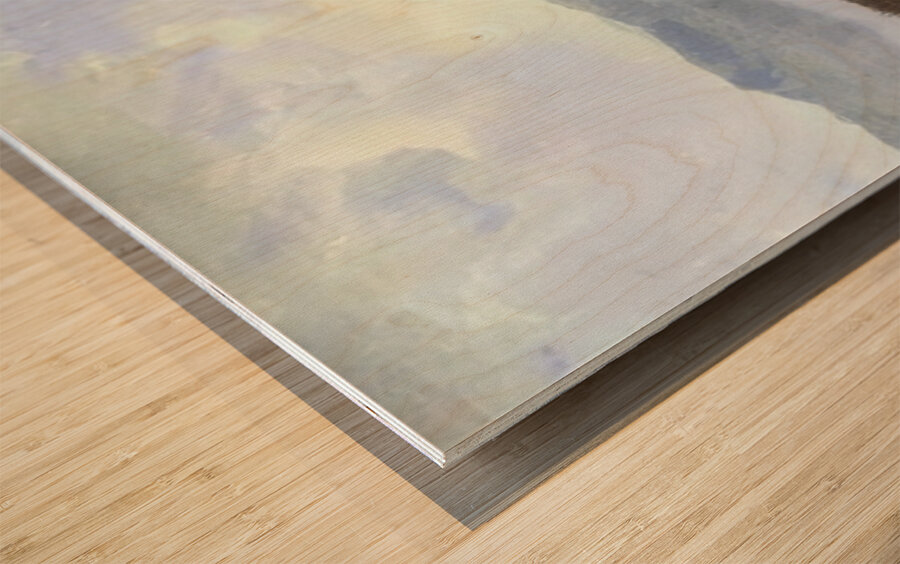 Albert Bierstadt 40 Wood print