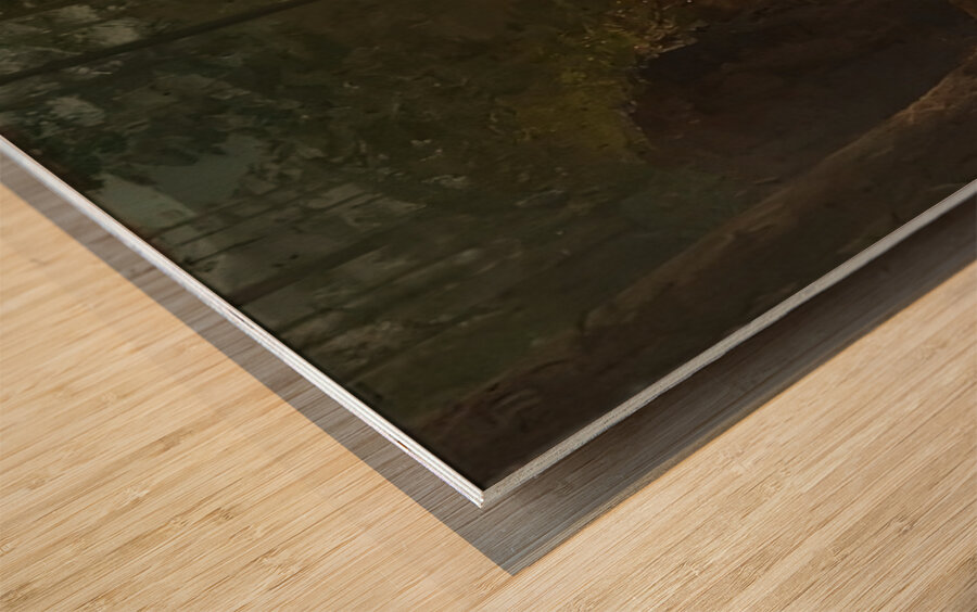 Albert Bierstadt 3 Wood print