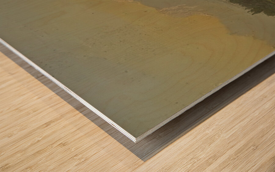 Albert Bierstadt 5 Wood print