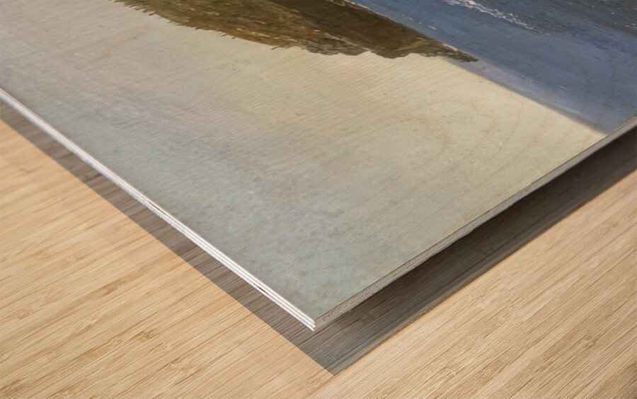 Albert Bierstadt 7 Wood print