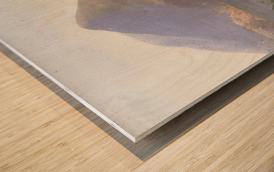 Albert Bierstadt 9 Wood print