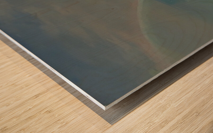 Albert Bierstadt 10 Wood print