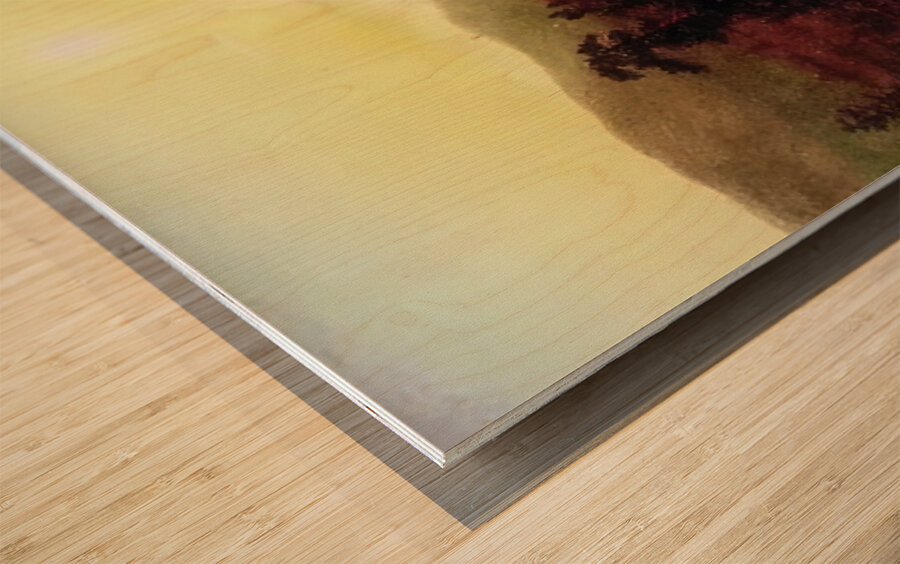 Albert Bierstadt 11 Wood print