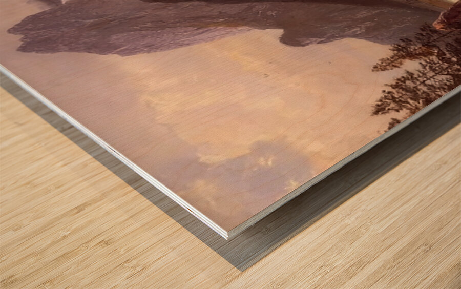 Albert Bierstadt 31 Wood print