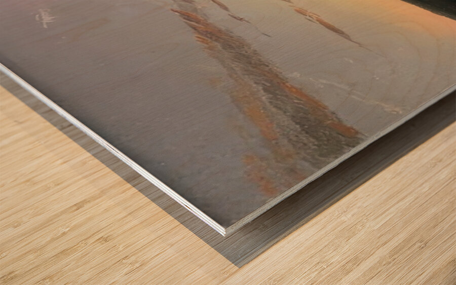 Albert Bierstadt 32 Wood print