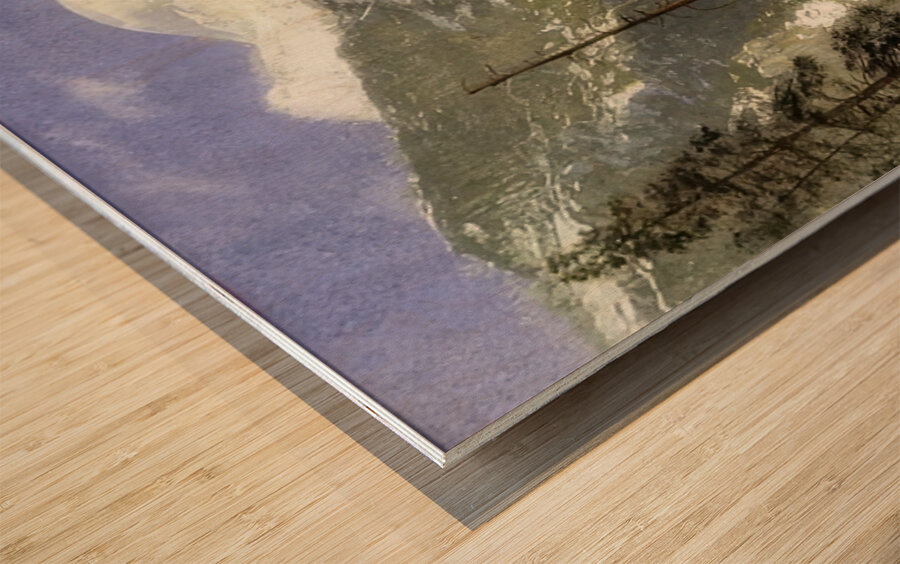 Albert Bierstadt 41 Wood print