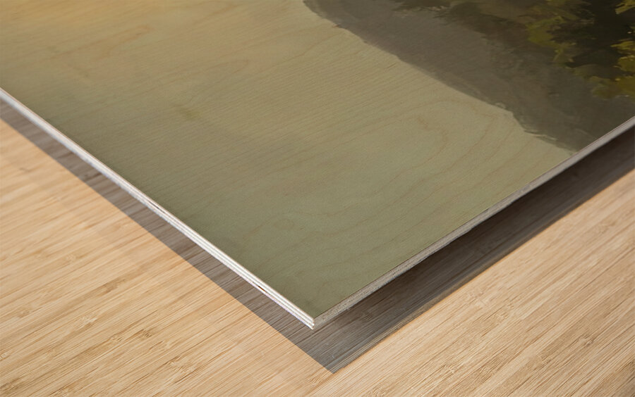 Albert Bierstadt 46 Wood print