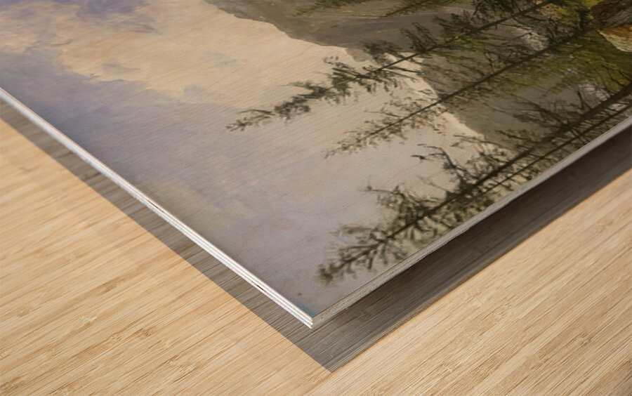 Albert Bierstadt 47 Wood print