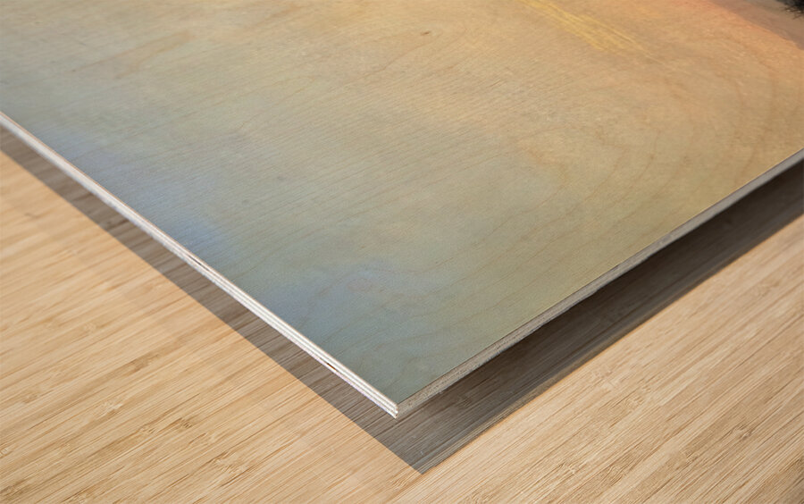 Albert Bierstadt 56 Wood print