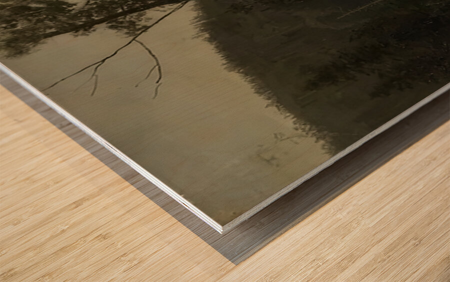 Albert Bierstadt 57 Wood print