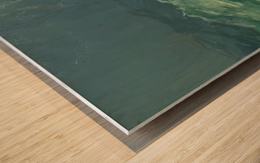 Art by George Bellows 27 Wood print