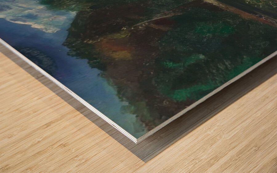 Art by George Bellows 37 Wood print